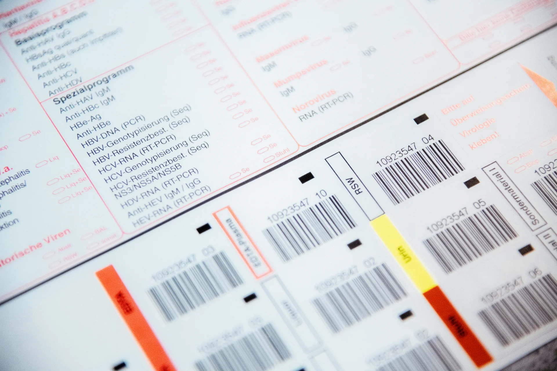 AG Sch&ouml;nfeld - Titelbild