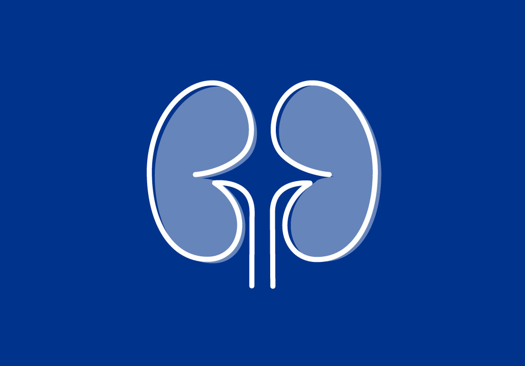 Nierentransplantation - Titelbild